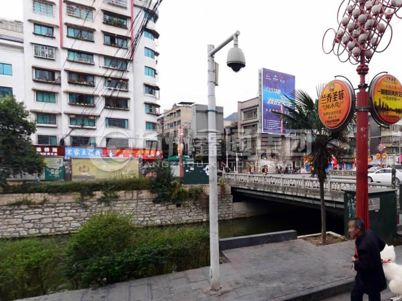 DJG-020，監(jiān)控球機(jī)桿