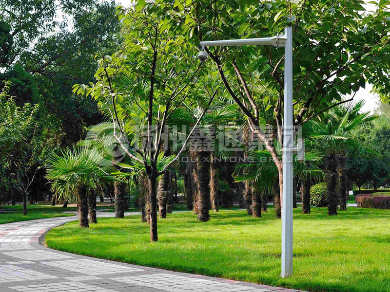 DJG-022，電子警察桿，八棱懸臂球機(jī)桿